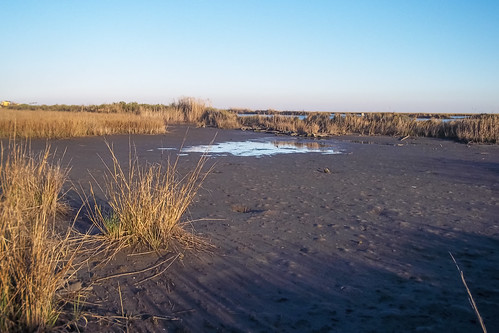 louisiana coastal wetlands marsh gulfcoast fourchon lafourcheparish portfourchon ilobsterit