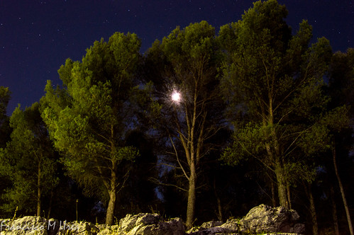 moon rock night forest stars jaén