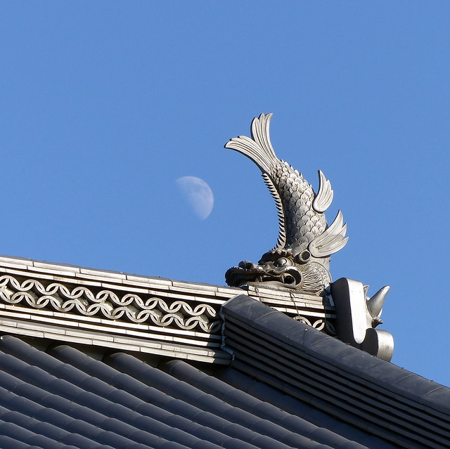 Matsumoto castle roof and moon