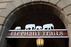 National Zoo - Elephant Trails