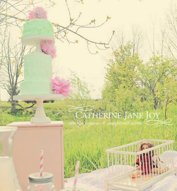 Cake by Catherine Jane Lewis