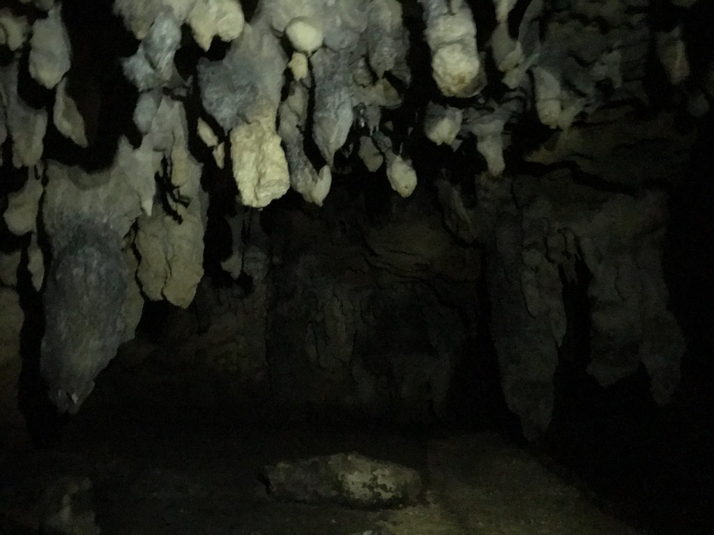 真っ暗でマトモに採れなかった洞窟内