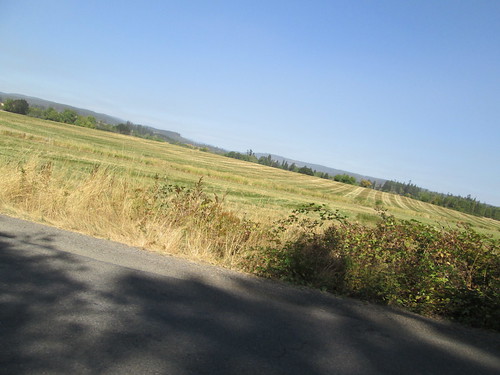 Stripey fields on Dersham