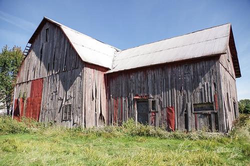 The Old Barn Out Back