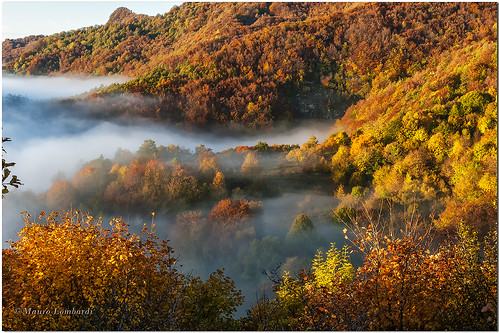 autunno fascia spettacolare appenninoligure altavaltrebbia icoloridellautunno scenariostupendo nebbiesullappennino