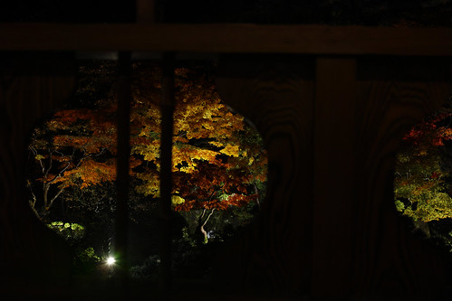 2016 niigata japan autumn autumuncolor autumnleaves night nightview lightup saitouke 旧斎藤家別邸 theniigatasaitouvilla sigma dp2 dp2q quattro foveon x3f ライトアップ