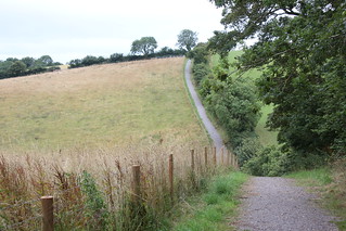 Cockington Valley Loop 068