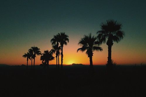 phoenix sunrise dawn hike palm ridge camelback iphone dawnpatrol vsco vscocam