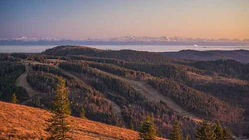 alps deutschland view alpen schwarzwald blackforest feldberg badenwürttemberg feldbergschwarzwald