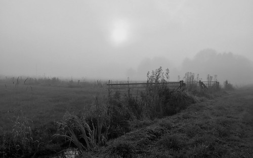 blackandwhite bw nature monochrome landscape mono countryside blackwhite morningwalk morningmist iphone blackwhitephotos artinbw iphoneography