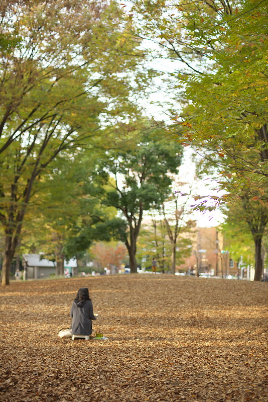 東京路地裏散歩 2015年11月29日