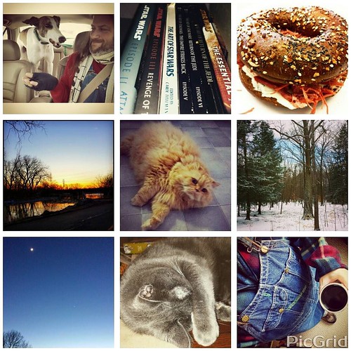 My 2015 favorites, part 3. #2015faves