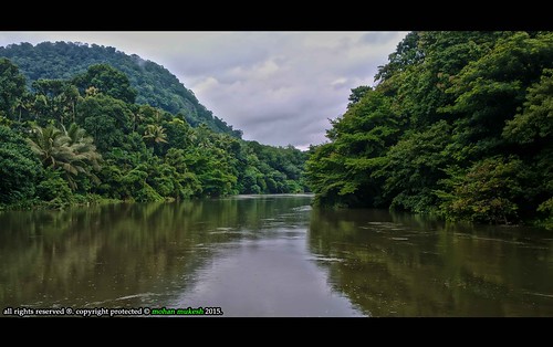 india river south awesome kerala gree westernghat