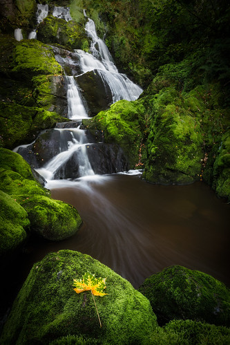 autumn green fall water creek river flow waterfall leaf moss rocks sweden falls canon6d skepplanda