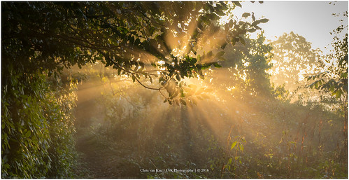mist canon color cvk enschede europe fog landscape nature netherlands outdoor overijssel sun sunrise twente sunray nederland nl chrisvankan ngc theroom cvkphotography