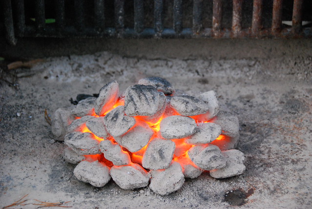 Charcoal and wood fires are considered "open fires" under law and are prohibited in our parks between midnight and 4 p.m from February 15 through April 30 at all Virginia State Parks