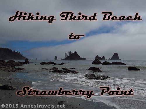 Walking the coastline between Third Beach and Strawberry Point in Olympic National Park, Washington