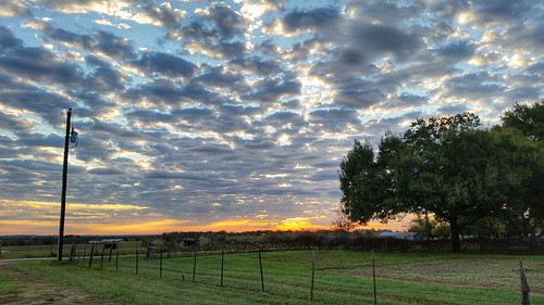 sunrise day texas tx georgetown partlycloudy