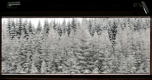 window okno za oknem behind drzewa trees zima winter snow śnieg day dzień europa evropa europe špindlerův mlýn dmclx100 panasonic lumix panorama widok krajobraz landscape klamki handle micro 43 four thirds