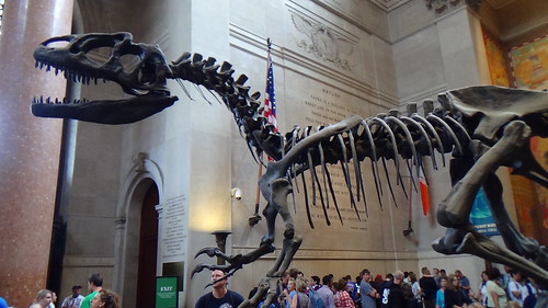 New York Natural History Museum Aug 15 (8)