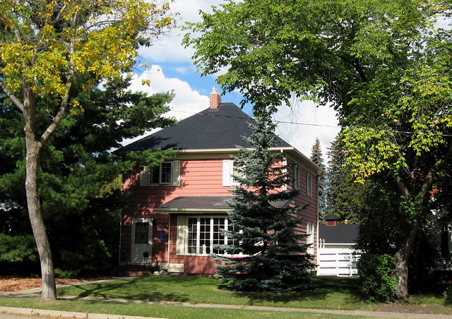 Mature Residential Trees