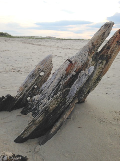 The Wreck of the Ada K. Damon, Crane Beach, Ipswich, MA
