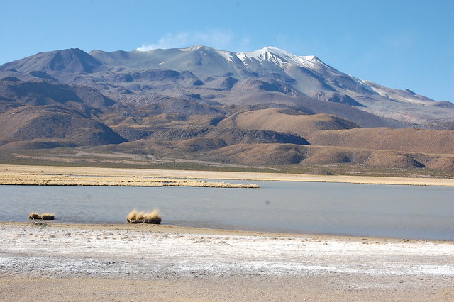 Laguna Arabilla, Parque Nacional Isluga, near Iquique, Tarapacá, Chile