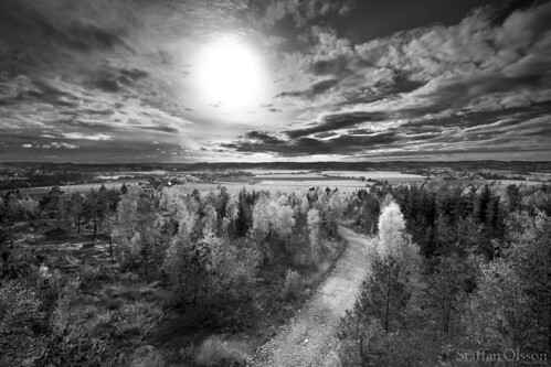 road travel autumn light shadow sky panorama sun tree nature forest canon landscape outdoors eos sweden wildlife adventure canonef1740mmf4lusm hdr canoneos6d