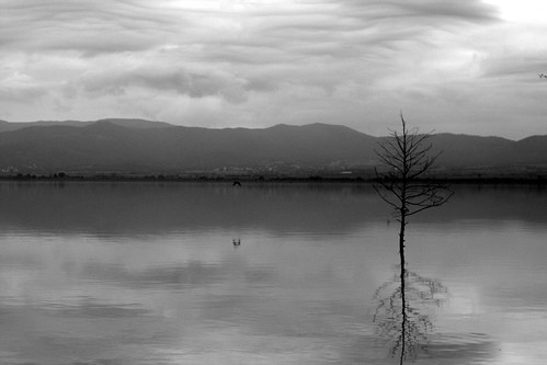 cuckove canon dojran lake lakescape landscape panorama reflection macedonia nature tree emilchuchkov emilchuchkovphotography
