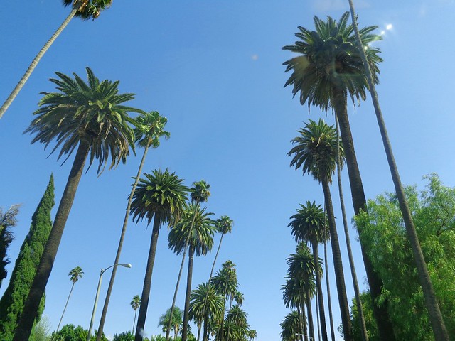 Beverly Hills, LA