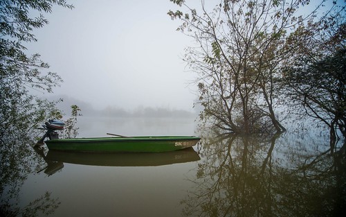fog foggy croatia rivers kupa hrvatska foggymorning riverkupa nikond600 sigma12244556