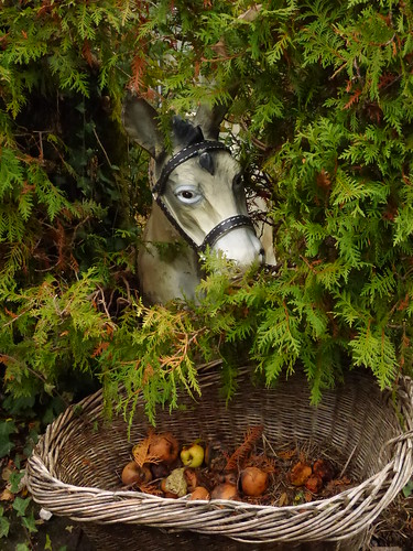 jardinsenterrasse plombièreslesbains sedum automne recyclg brocante jouet