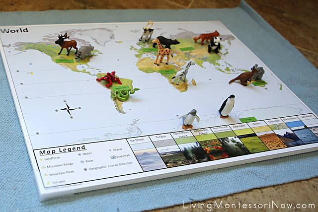 World Map with Animal Figures
