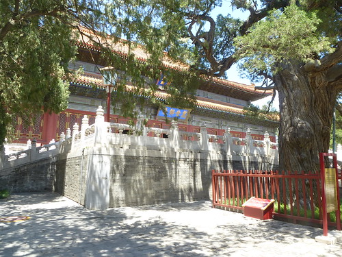 CH-Beijing-Temple-Confucius (5)