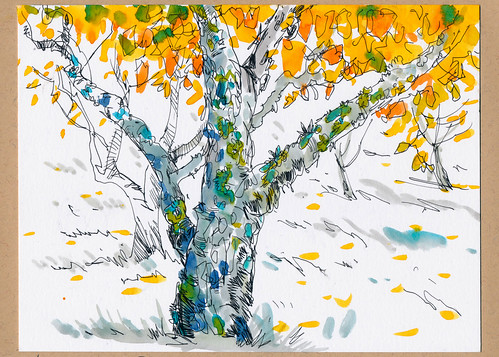 Sketchbook #93: Persimmon Orchard