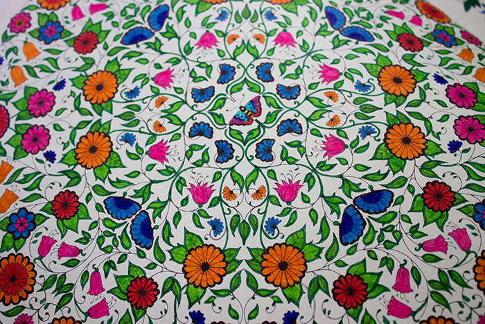 Adult Colouring Books: Secret Garden, Mindfulness Colouring Book