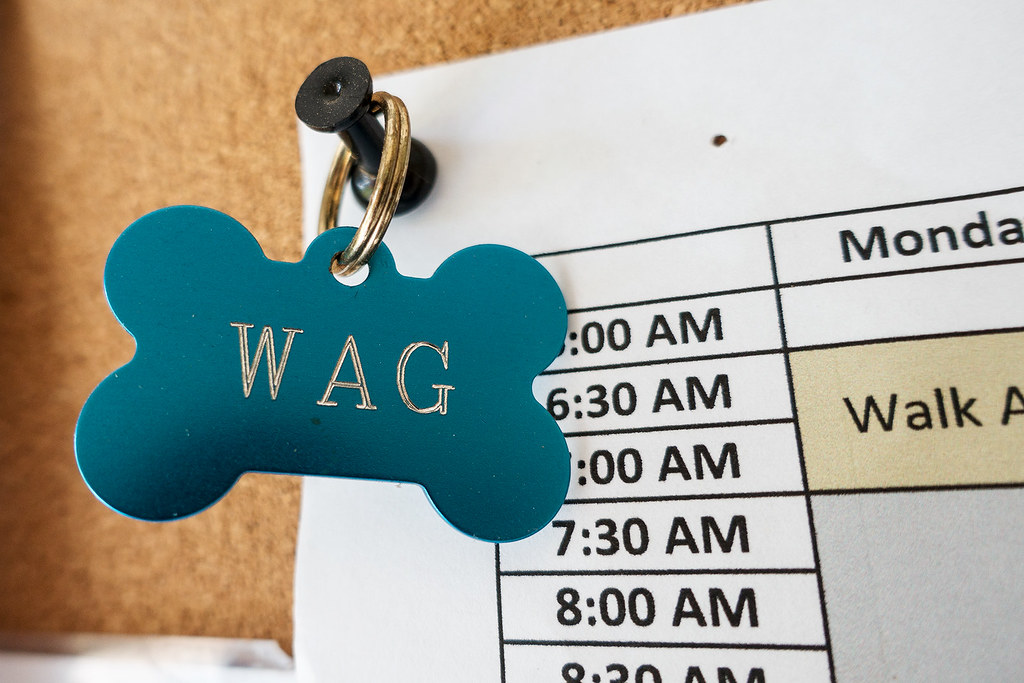 WAG dog tag.