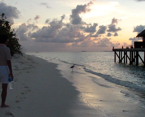 atoll beautiful tropics beach island resort coral sunrise sunset インド洋 reef tolopical lagoon maldives villa モルディブ 北マーレ環礁 mirihi airplane 南マーレ環礁 ミリヒ mirihiisland watervilla アリ環礁