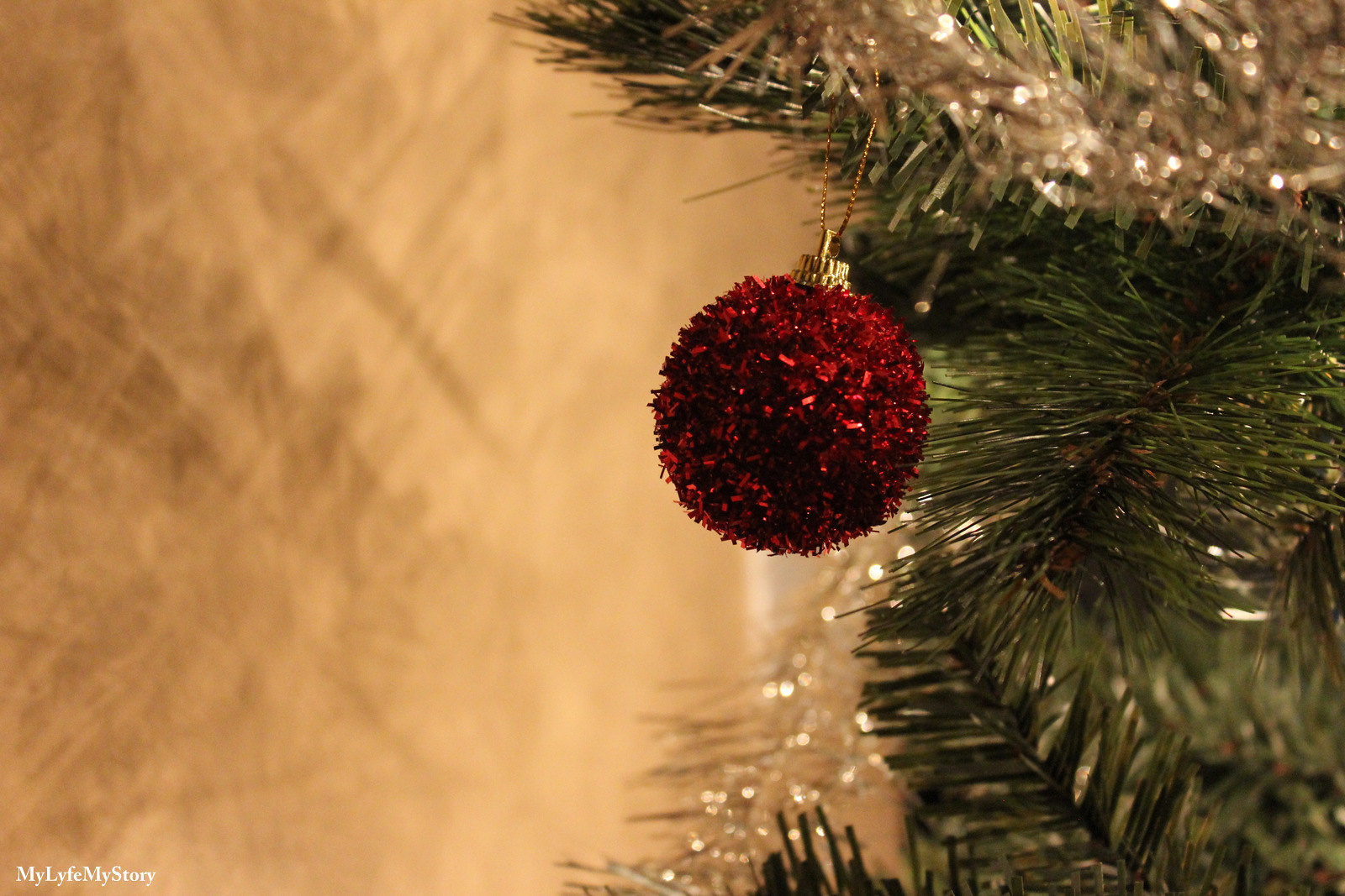 My Family Christmas Tree (1)