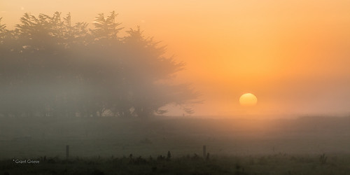 dawn first newyear rays