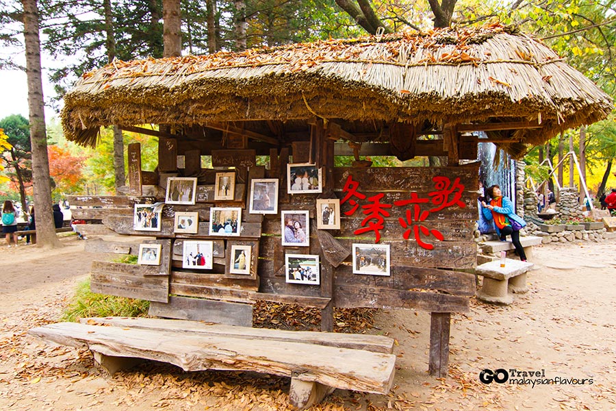 14 things to Do in nami island south korea seoul