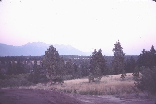 summer 1981 steeplesview