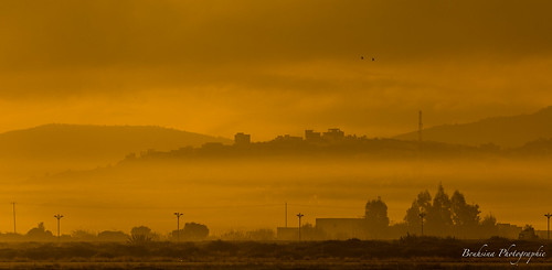 monochrome tétouan tetuan maroc morocco bouhsina bouhsinaphotogrphy canon 5diii ef100400 brume brouillard matinal matin morning 2016 hiver golden or jaune yellow