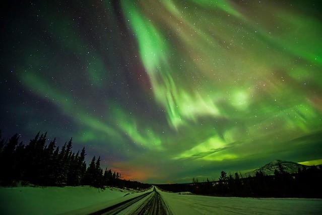 "Highway of light" standing on the Alaskan Highway #canada_creatives #aurora #alberta #airnorth #aurorachasers #auroraborealis #canada #d810 #cometomyyukon #naturelovers #nature #northernlights #yukonrules #yukon #christyturnerphotography