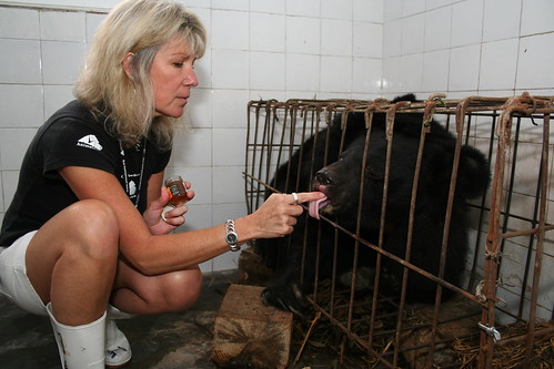 Animals Asia founder and CEO Jill Robinson MBE met Blue for the first time, 2005
