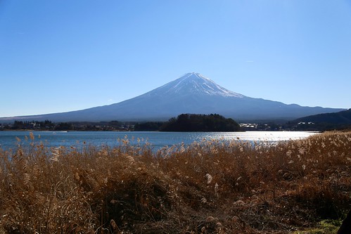 河口湖から富士山