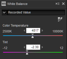 NX-D white balance