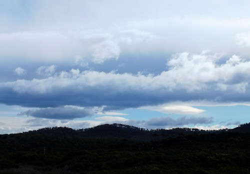 australia tasmania bay fires scamander hill tree forest sky cloud dana iwachow fuji finepix hs20 exr