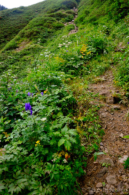 Trekking, Bessan - Chiburi ridge