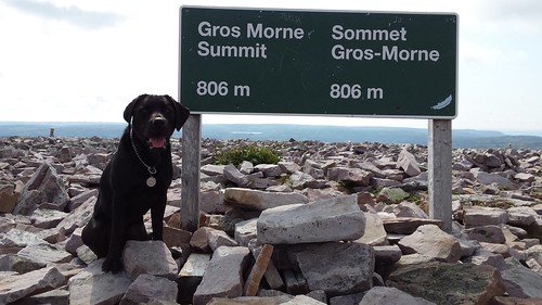Gros Morne and Merlin
